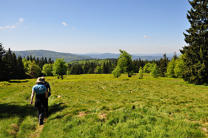 Bayerischer Wald